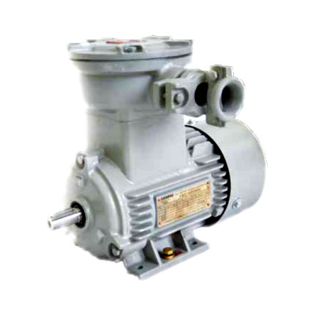 Газовзрывозащищенный двигатель Beide Motors Siemens 1MB0061