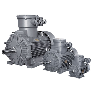 Газовзрывозащищенный двигатель Beide Motors Siemens 1MB1/5